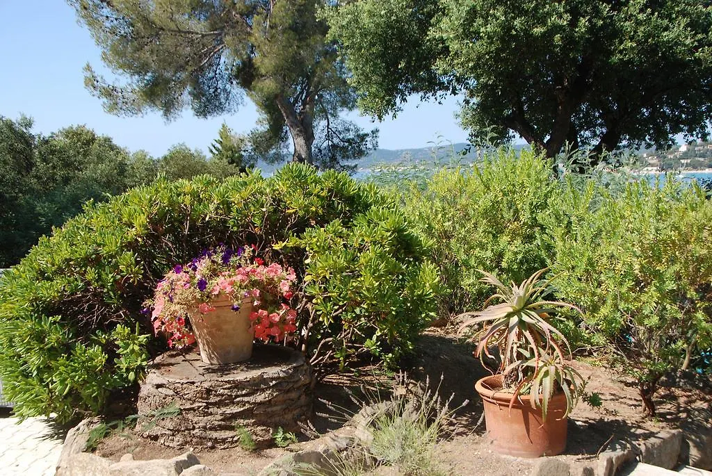 83 Hotel Le Lavandou